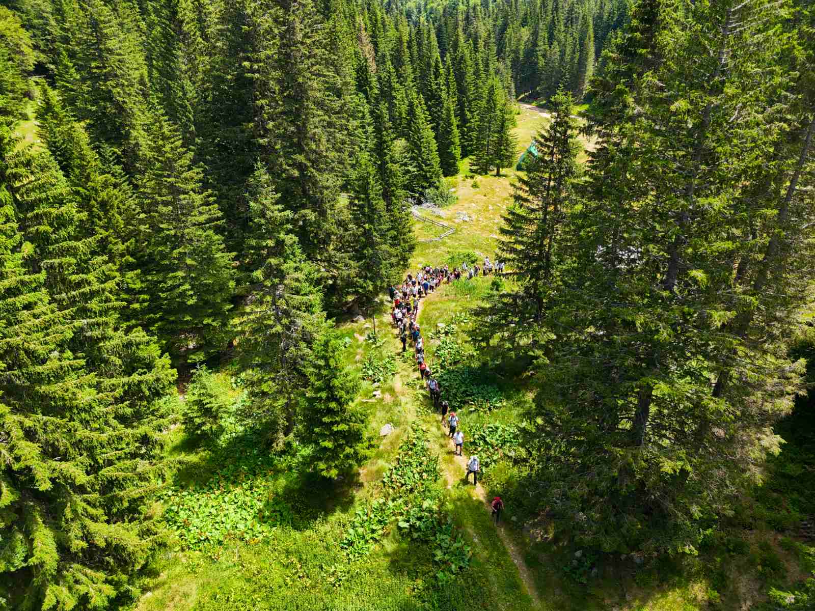 Pešić jezero – 0-02-05-1583efb344cd01c007b4996a00e0ce5abb4a0ecfefd9f33fc367311af0e13274_584b1fcef301d1d2