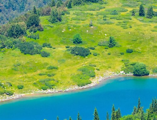 Pešića jezero: Netaknuti biser Bjelasice