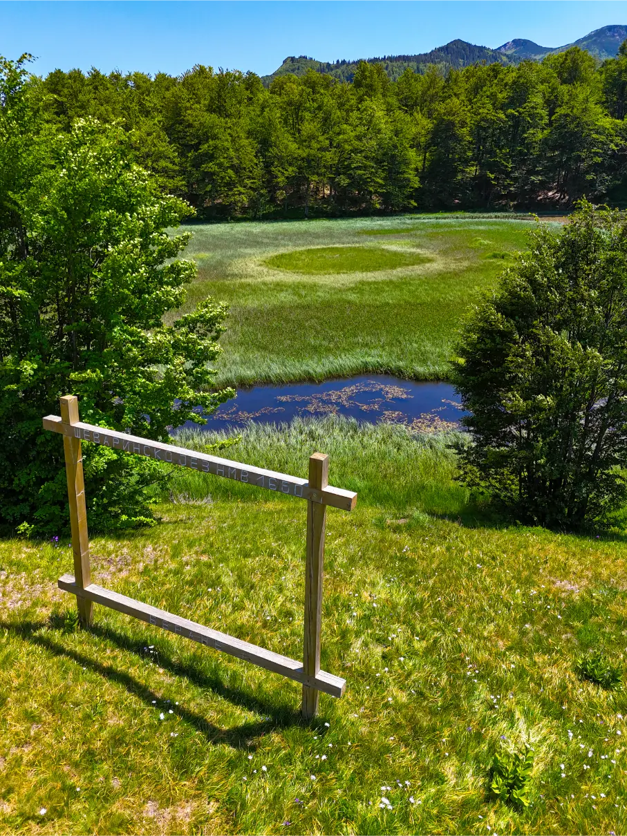 dji_fly_20250614_133722_0150_1749917999384_photo