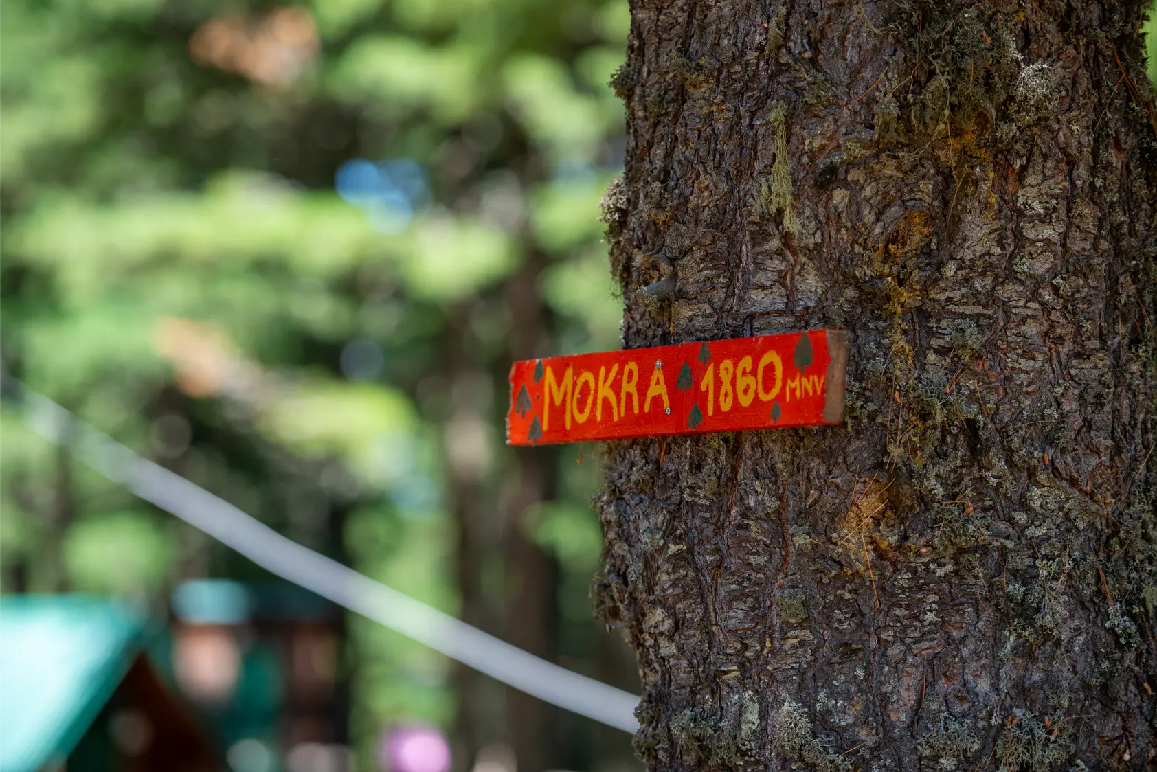 Vusurovica do – DSC_2409