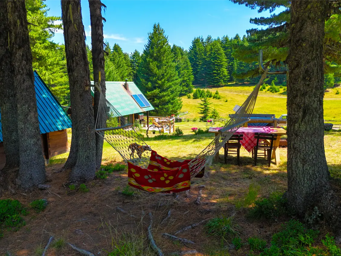 Vusurovica do – dji_fly_20250720_113252_0245_1754582366475_photo