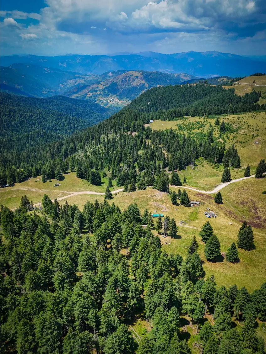 Vusurovica do – dji_fly_20250720_125502_0268_1754582408393_photo