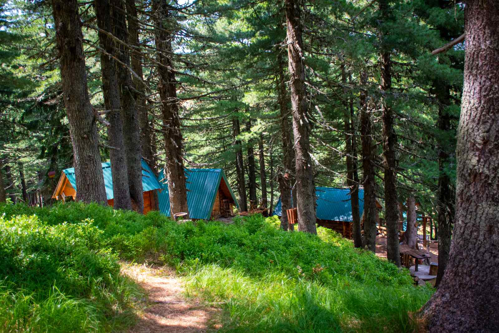 vitezovi-konaci-0-02-05-0f280300df524c520acab3ea79e7790