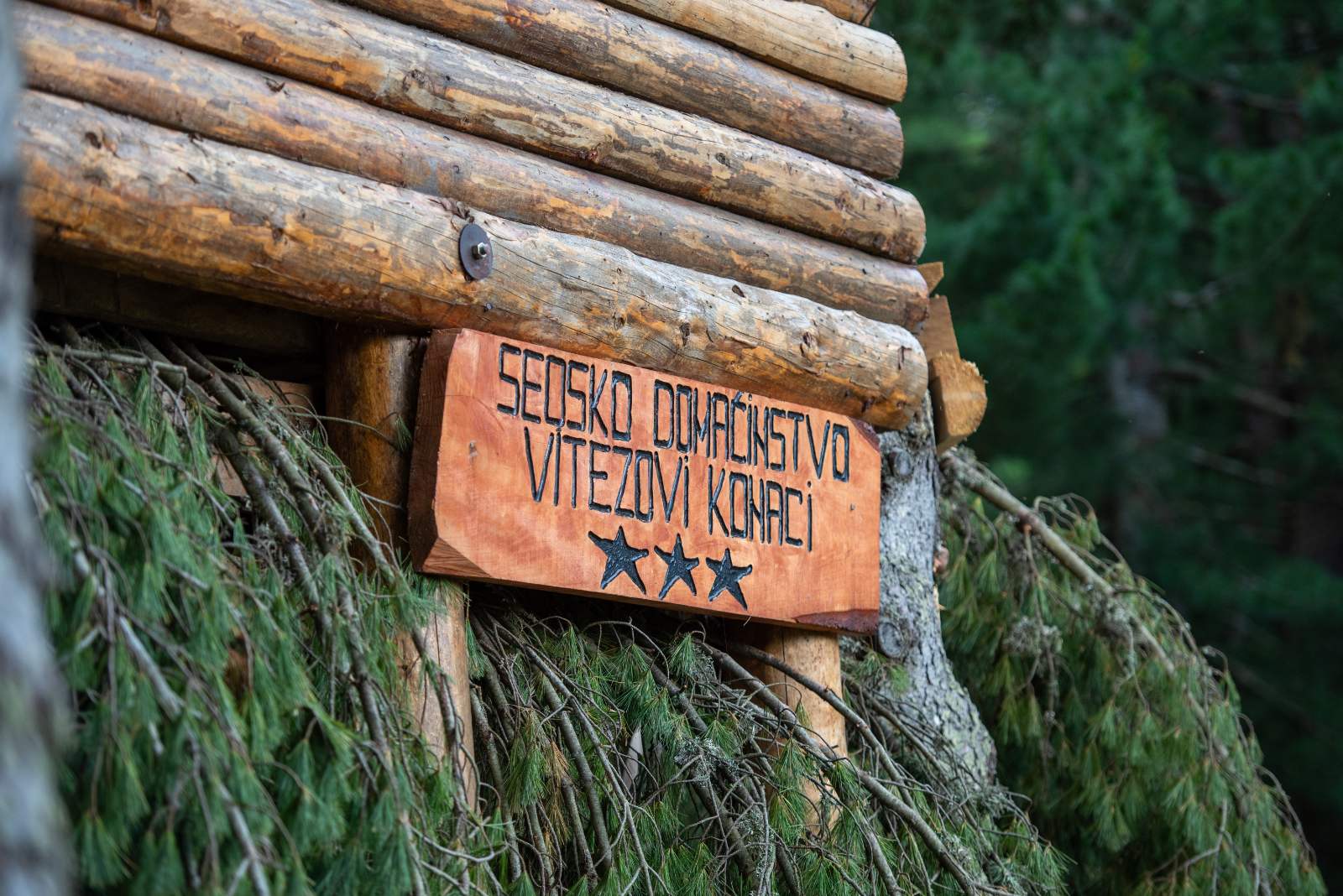 vitezovi-konaci-0-02-05-44ad729bddac2de9534a81840cacc55