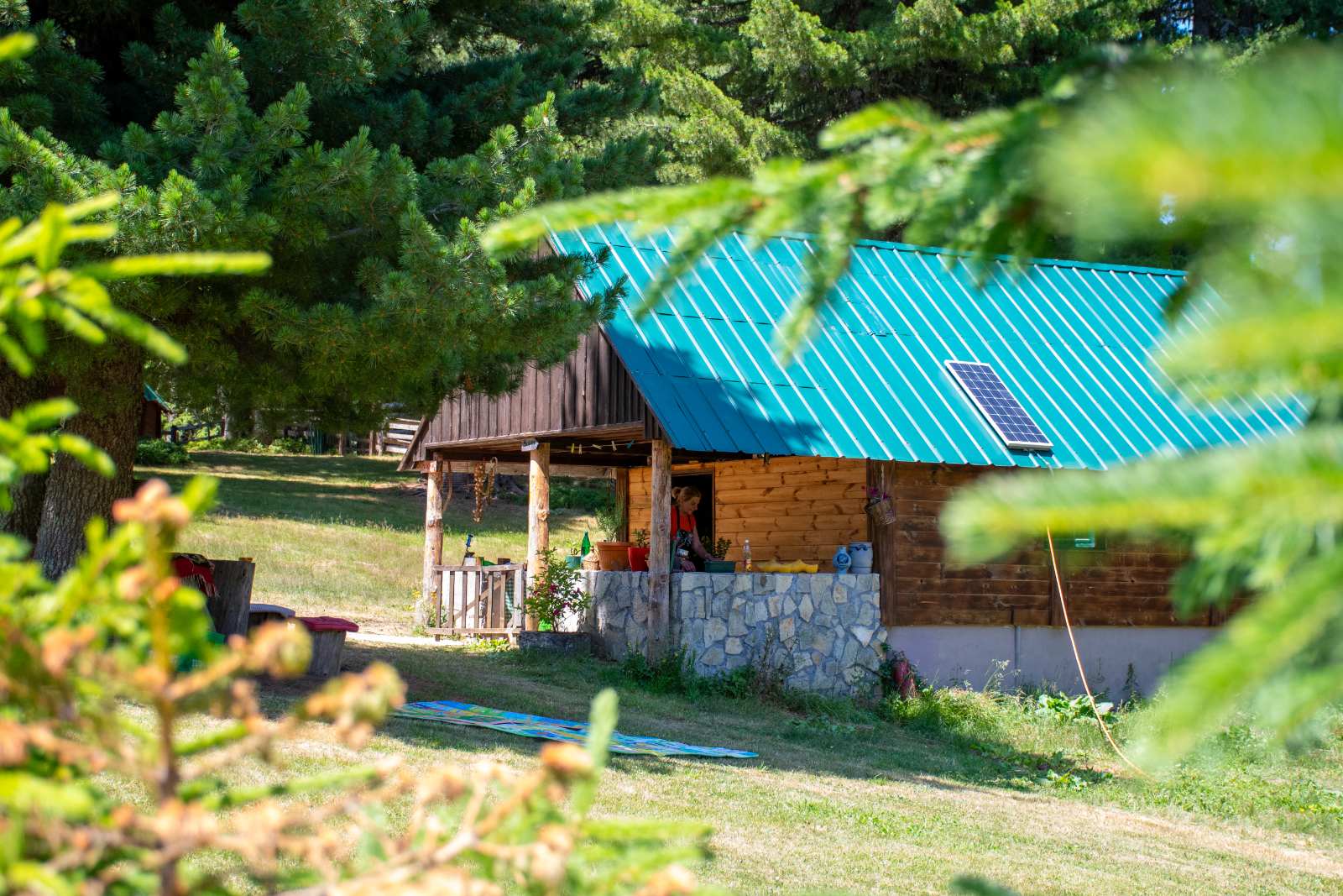 vitezovi-konaci-0-02-05-7d4069671ad6b06a822a03e68662d47